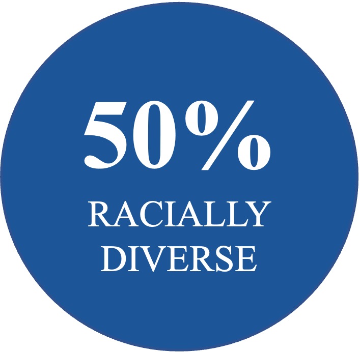 50% diverse.jpg